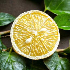 Scented Lemon Slice Phone Grip - Resin Style, Magnetic Option